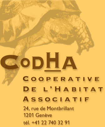 www.codha.ch